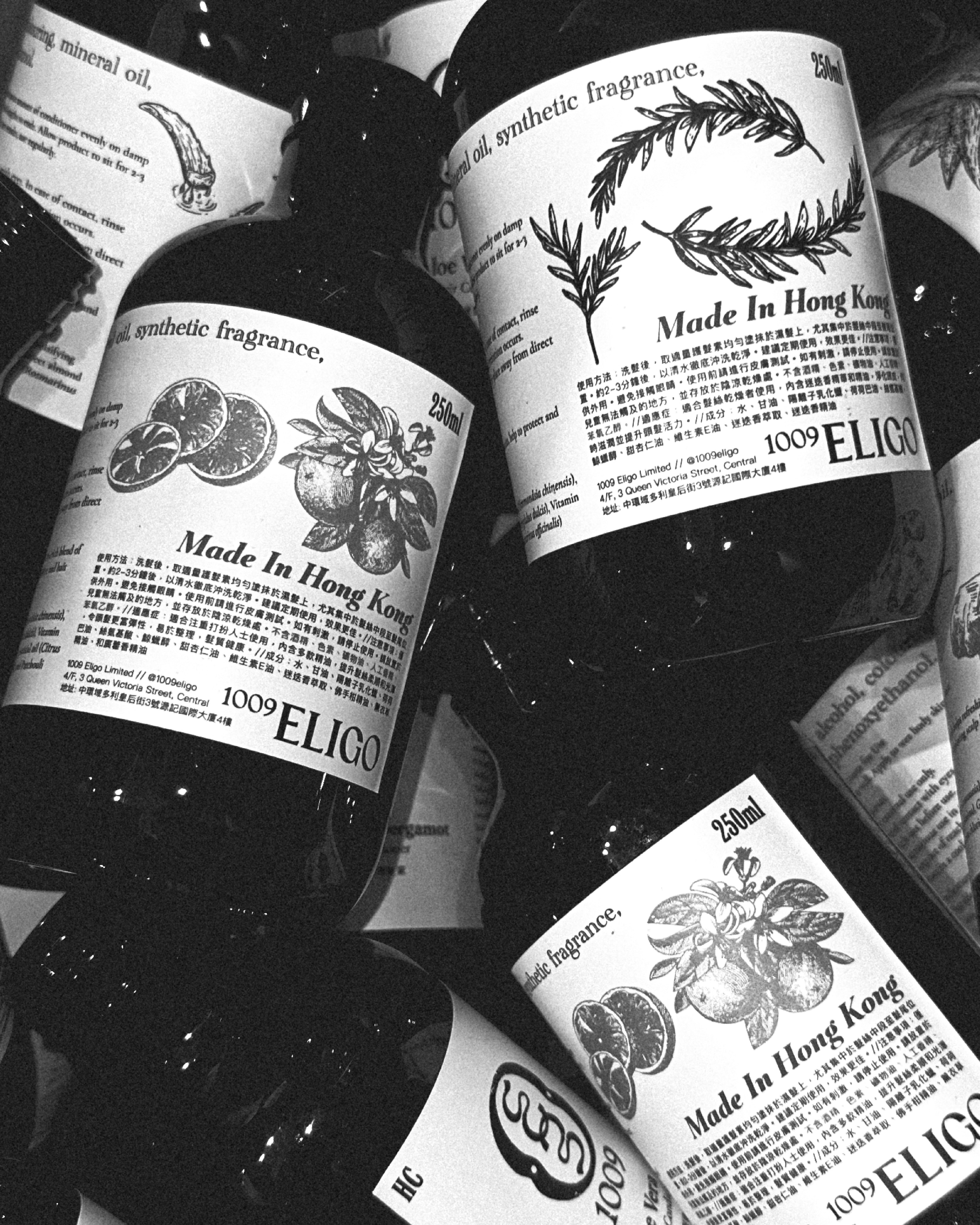 ᨒ ོ 打造屬於你的現代 Libertatia | Build Your Modern Libertatia