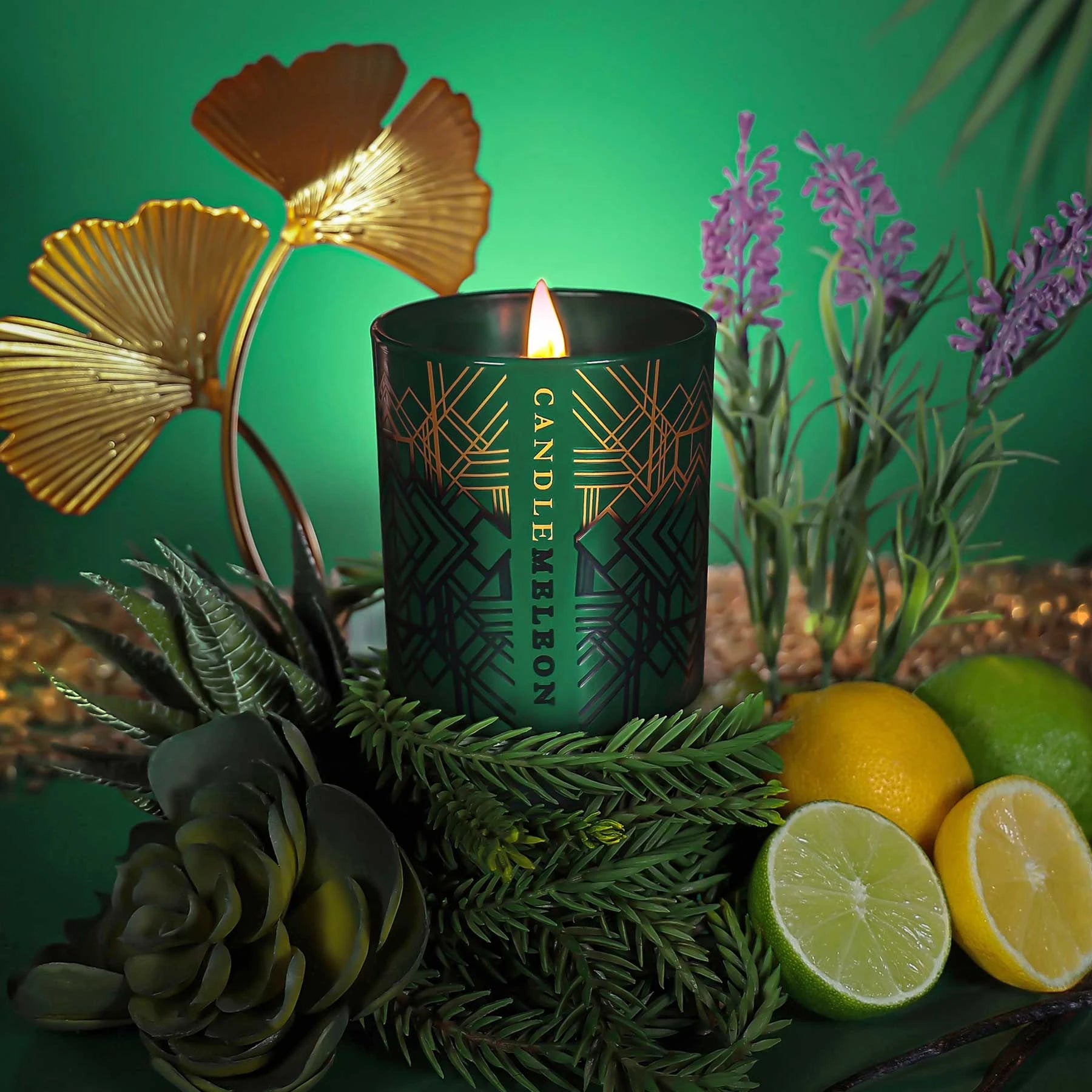 Candlemeleon