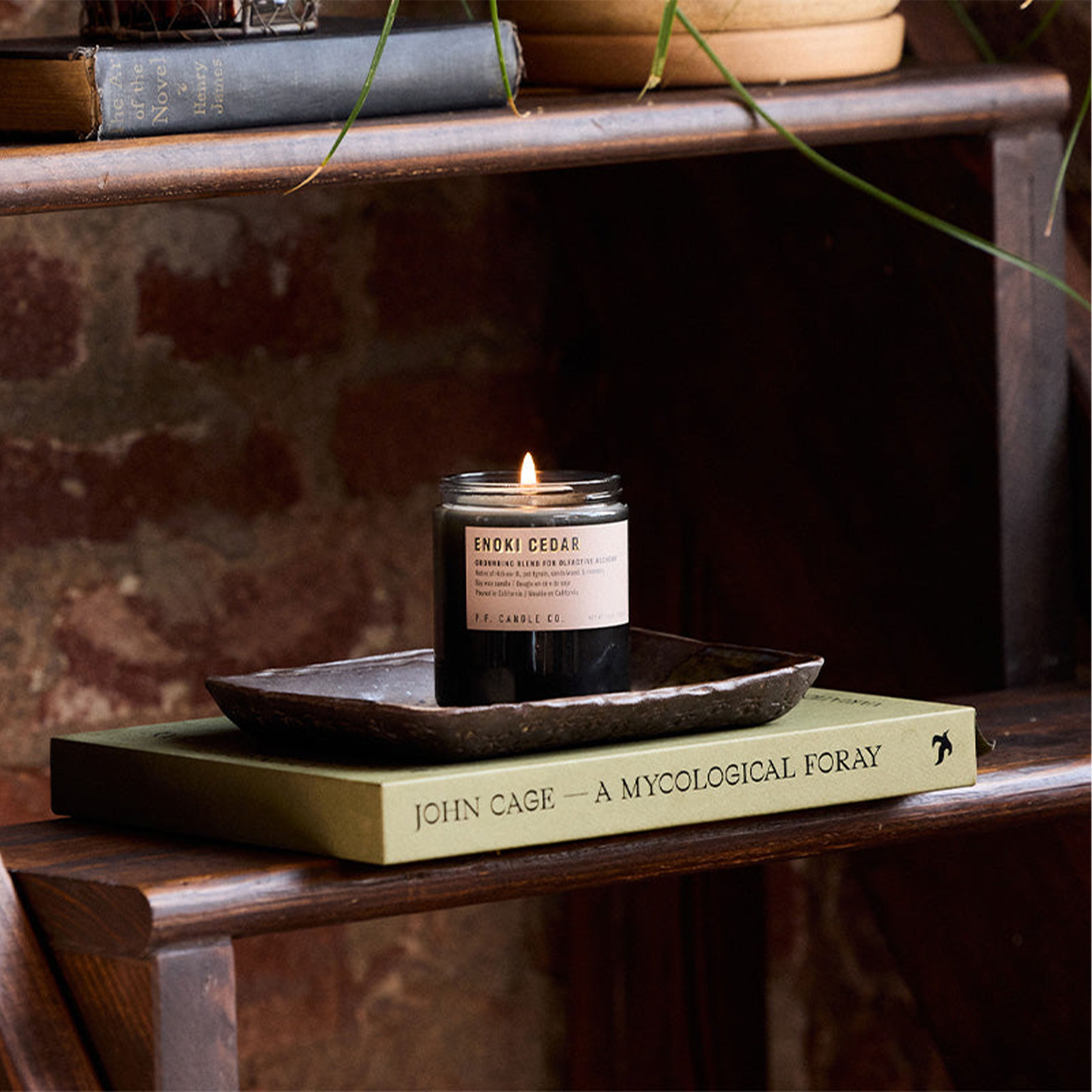 P.F. Candle Co. Enoki Cedar - 7.2Oz Alchemy Soy Candle